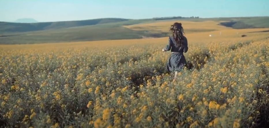 Βασίλης Πάντσιος