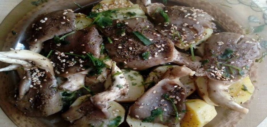 Μανιτάρια πλευρώτους