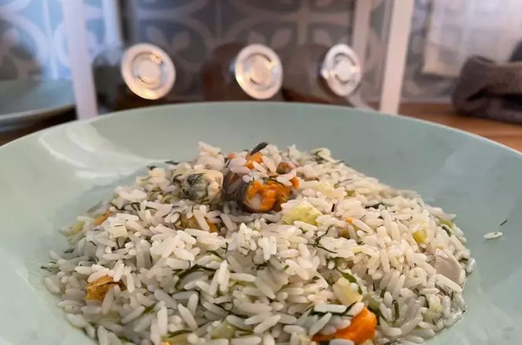 γρήγορο πιάτο 