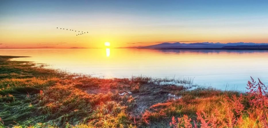 φυσικό φαινόμενο